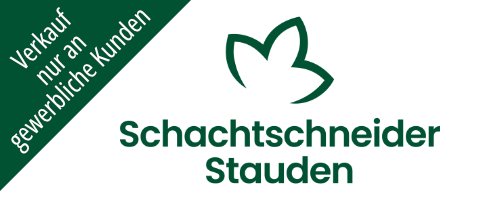 Schachtschneider Stauden